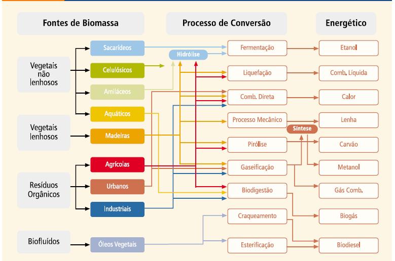 22 serem efetuadas. A FIG. 1 mostra os processos de conversão dos diferentes tipos de biomassa. Figura 1 - Processos de conversão energética da biomassa Fonte: Balanço Energético Nacional - BEN.