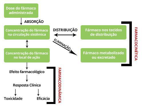 Interações farmacocinética e farmacodinâmica O que seu