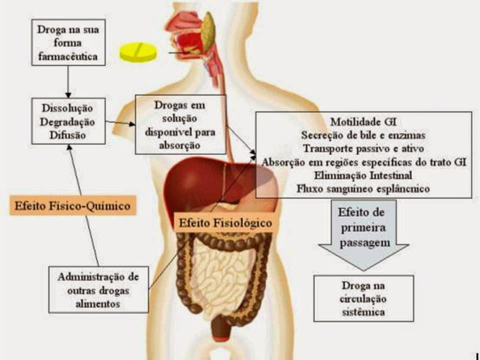 INTERAÇÕES FARMACOCINÉTICA As interações farmacocinéticas são aquelas em que o fármaco altera a velocidade ou a extensão de absorção, distribuição, biotransformação e excreção dos fármacos, alterando