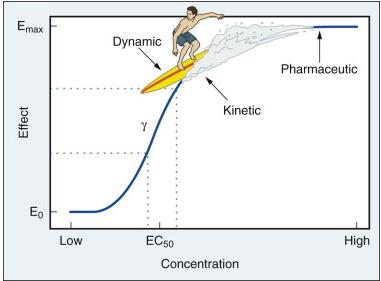 FARMACOCINÉTICA E FARMACODINÂMICA DINÂMICA (potência) - como a droga exerce seu efeito? Qual a sua ação sobre a célula? Qual a sua potência?