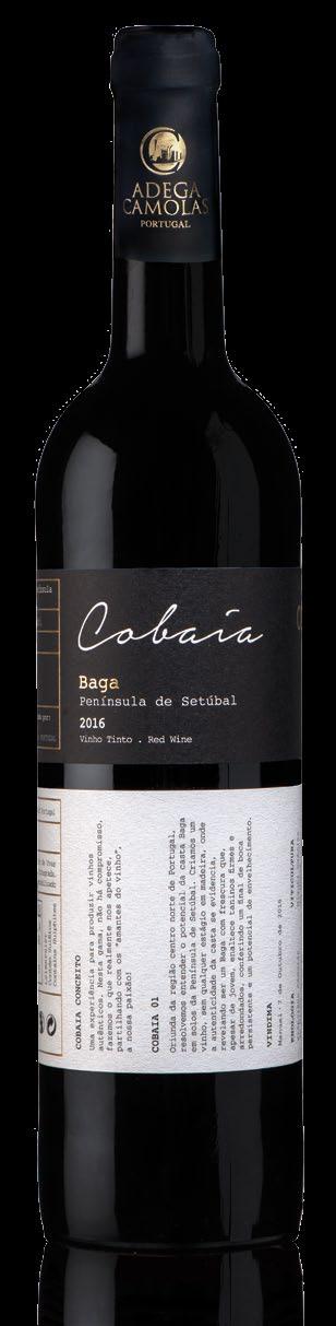 Vinho Regional Península de Setúbal Baga VINDIMA Manual, Outubro de 2016 COBAIA I Oriunda da região centro norte de Portugal, resolvemos entender o potencial da casta Baga em solos da Península de