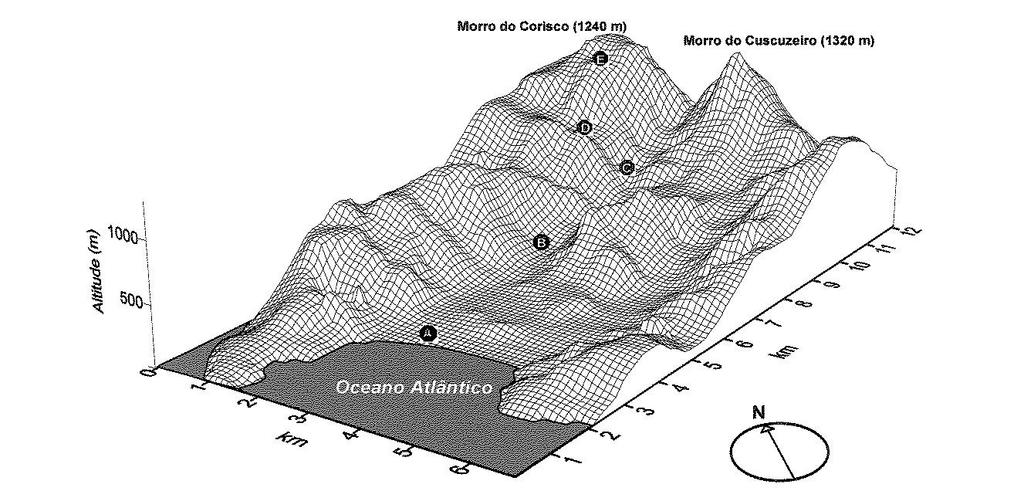 Figura 13. Distribuição das áreas amostradas de Lacerda: A 2m planície, B 100m ripária e 100m encosta, C 300m, D 600m e E 1000m.