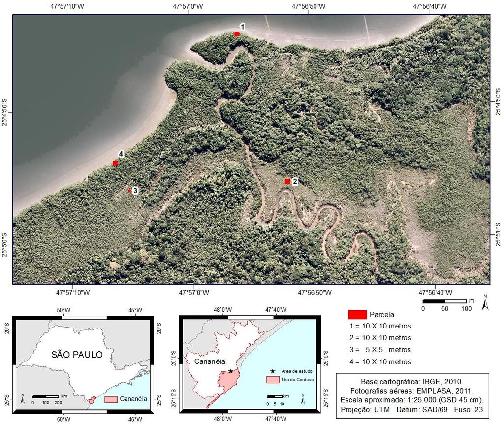 Parcelas Bosques Tronco/ indivíduo Parcela Ilha do Cardoso Cananéia/SP Área Basal (m²/ha) DAP médio (cm) Densidade (troncos/ha)