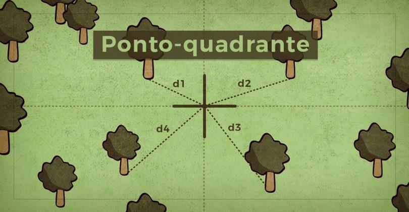 Ponto Quadrante ou Quadrante Centrado Fonte: http://www.