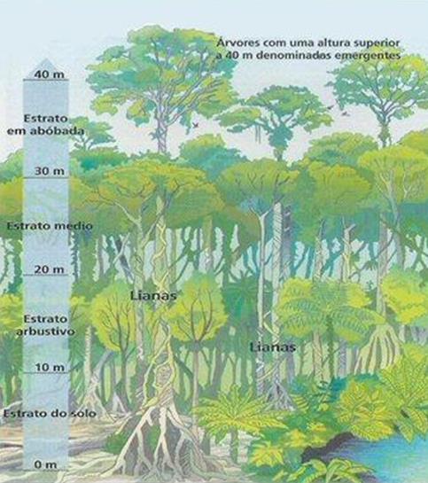 Como caracterizar ambientes complexos?