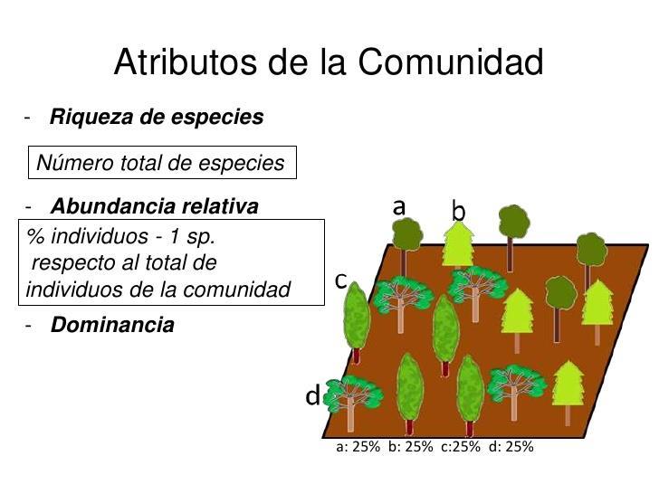 BIODIVERSIDADE Riqueza + Abundância Se uma comunidade é composta por poucas