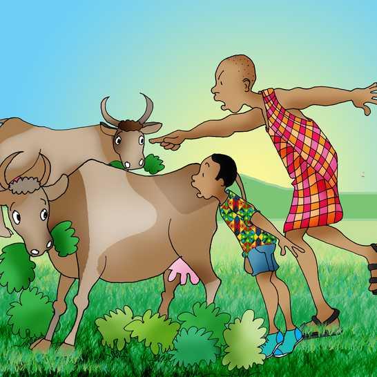 Numa manhã, Odongo levou as vacas da avó para pastar. Elas correram para a fazenda de um vizinho. O fazendeiro ficou brabo com Odongo.