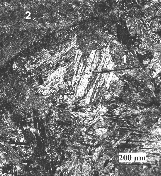 Figura 3 - Microestrutura da Zona Fundida Esta região sofreu alterações na microestrutura devido as interações químicas gás-metal e escória-metal, as quais são benéficas pelo fato da primeira