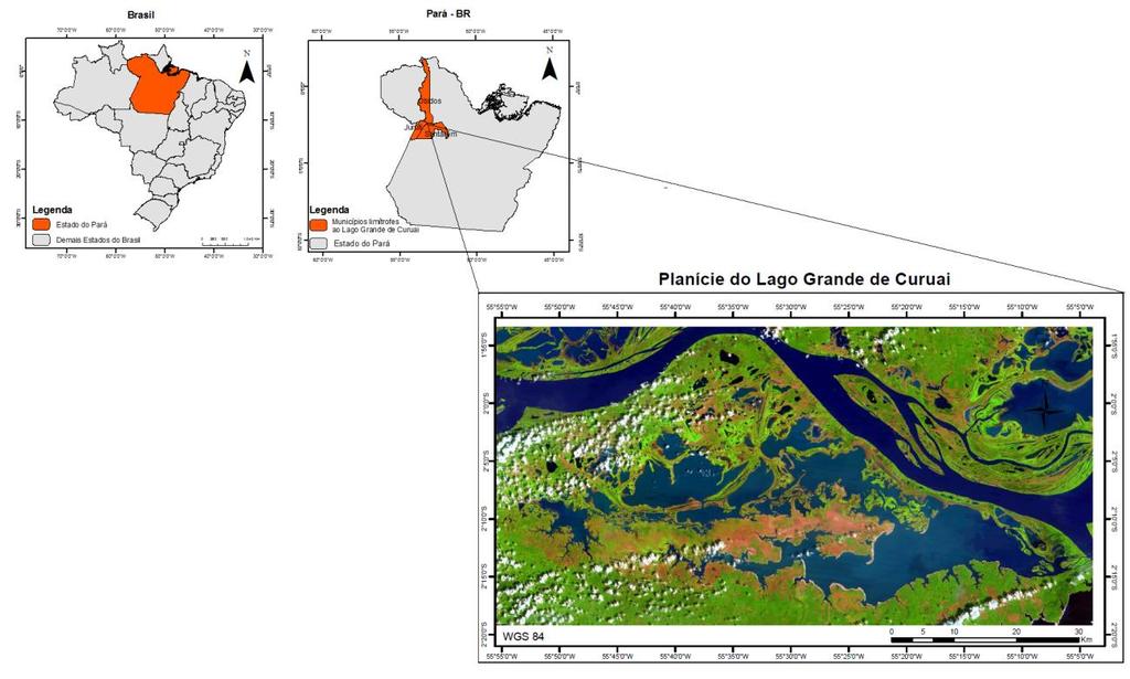 16 3.1 Planície do Lago Grande do Curuai PA A planície do Lago Grande do Curuai, localizada no município de Santarém, ao Sul do município de Óbidos, no estado do Pará e dista 900 Km da foz do rio