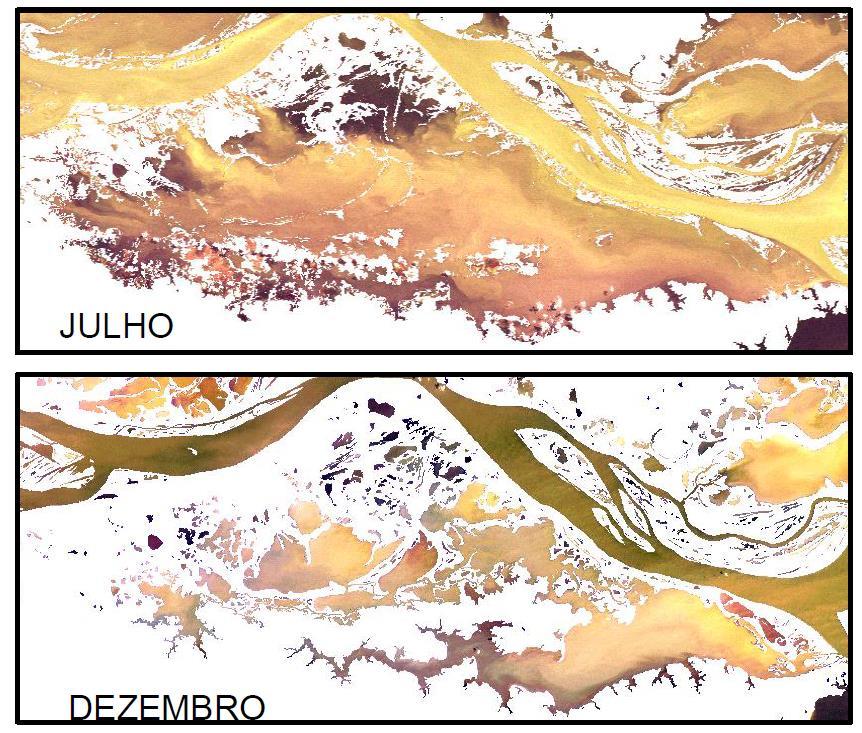 19 Figura 4 - Dinâmica da água da planície do Lago Grande do Curuai em função da variação da cota do Rio Amazonas. Fonte: KAMPEL e NOVO (2005).