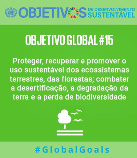 12 Uso sustentável dos Ecossistemas e proteção da Biodiversidade 12.