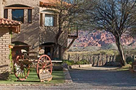 Um lugar mágico e colorido onde os famosos vinhos de