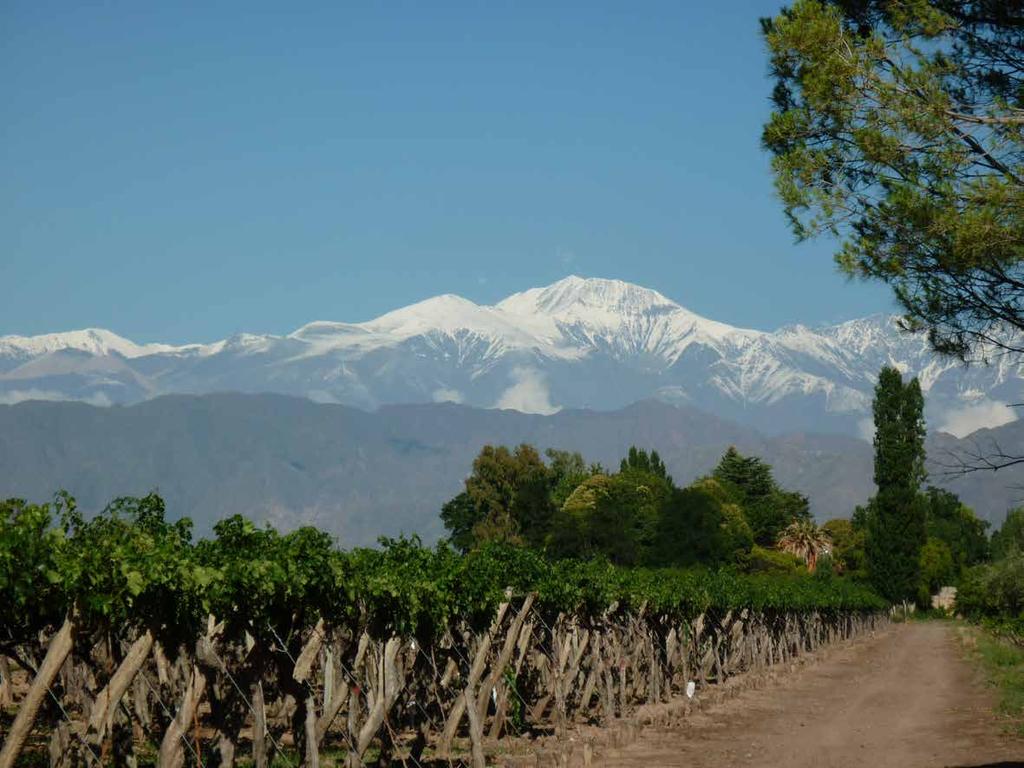 Andeluna Winery Uco Valley, Mendoza, Argentina www.mendozaholidays.com / tours@mendozaholidays.