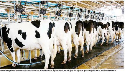 RAQUEL FREITAS O achado de duas carcaças de bovinos contaminadas com tuberculose, em Águas Belas, no Agreste do Estado, acende o sinal de alerta para os produtores que integram a bacia leiteira de