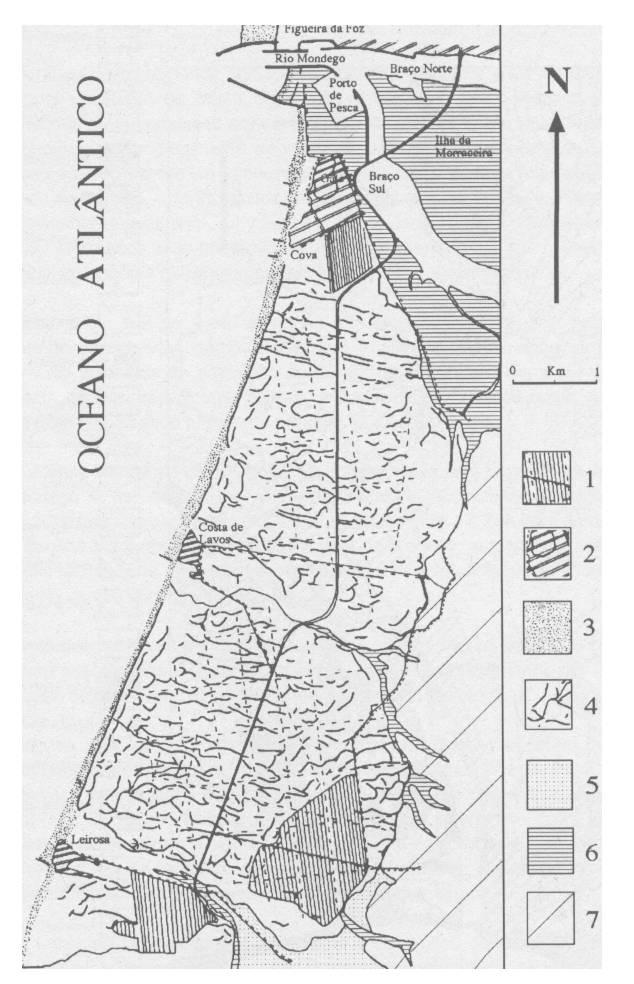 tendência para destruição da vegetação e progressiva expansão dos aglomerados urbanos e industriais (Cunha et al., 1997a).