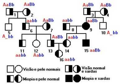1) Um homem, cuja via metabólica responsável pela síntese dos antígenos do sistema ABO está representada abaixo, casou-se com uma mulher do grupo sanguíneo O, cujos pais são do grupo sanguíneo B.