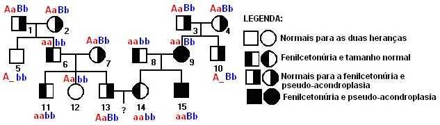 1 1 1 P (final) = x 0,01565 1,56% 4 16 14) A pseudo-acondroplasia é um tipo de nanismo determinado geneticamente pelo alelo D, autossômico dominante, que interfere no crescimento dos ossos durante o