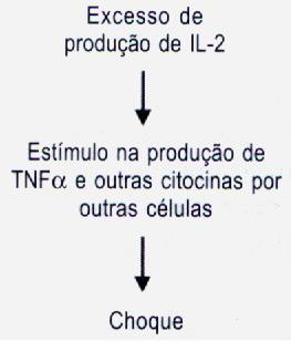 causada por toxinas com ação de superantígenos; O