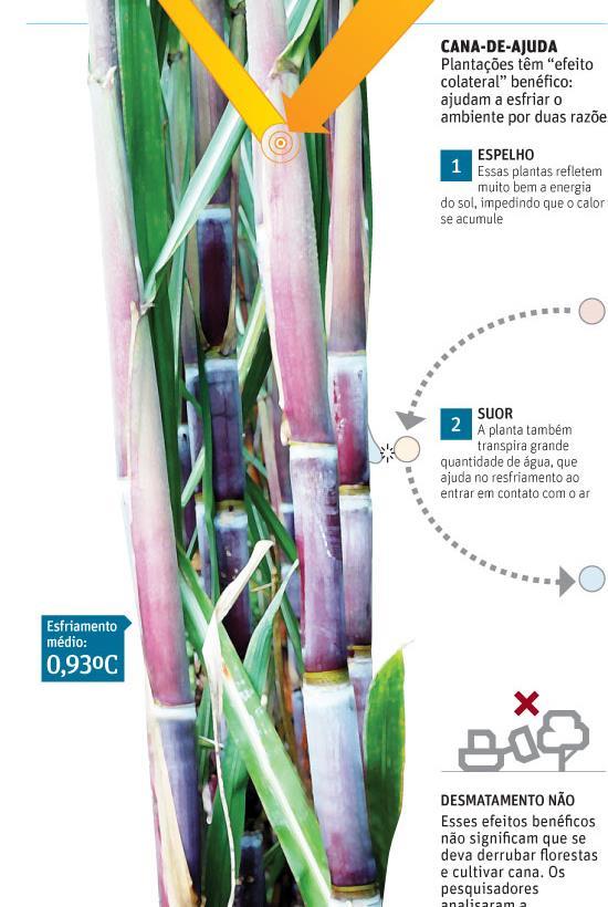 Fisiologia vegetal