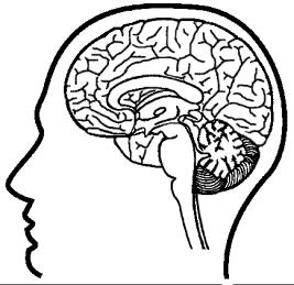 QUAIS AS CONSEQUÊNCIAS DA PARALISIA CEREBRAL? Como explicado na página anterior, as sequelas da lesão cerebral variam muito, pois dependem vários fatores.