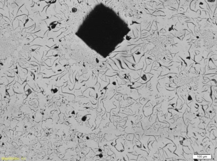 ledeburita no lado esquerdo da imagem, caracterizando a existência de ferro fundido branco, e do lado direito da micrografia a existência de ferro fundido cinzento com veios de grafita