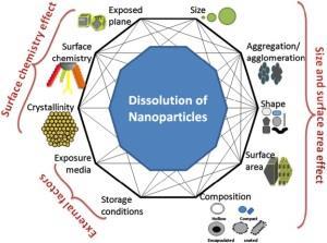 ratio dependence for the survival of Daphnia