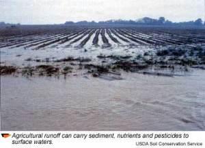 Toxicity to aquatic organisms Toxicity to Soil organisms Sludge (to land)