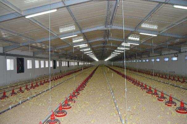 mas não se tem conhecimento de nenhum trabalho já realizado para aviários de frango de corte com aquecimento por piso radiante e isolamento térmico no fechamento de alvenaria e na cobertura, para