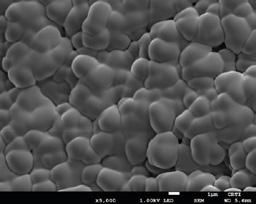 Tamanho de Partículas Liberação de íons Cálcio O tamanho de partículas (menor que 2 µm) proporciona ao A liberação de íons Cálcio é fundamental para a ação Bio-C Sealer um excelente escoamento, uma