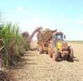 Tendências Expansão do uso da cana-de-açúcar como energético Produção Doméstica de Cana Área (10 6 ha) 14 Produção (10 6 t/ano) 1.