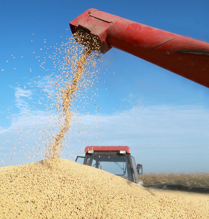 Em relação aos destinos dos principais produtos exportados pelo agronegócio brasileiro, o Irã é responsável por demandar 48% do total de milho embarcado pelo Brasil, seguido pelo Egito (5,9%) e pela