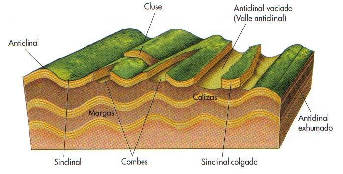 Co paso do tempo a erosión vai formando nos anticlinais vales perpendiculares (cluses) ao cumio e vales paralelos (combes) ao cumio.