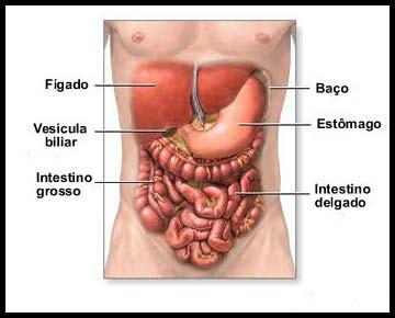 Lesão de órgão abdominal Trauma fechado ou penetrante A lesão de órgãos sólidos como fígado, baço, rim, pâncreas, geralmente resulta em