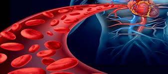 Hipoperfusão Resulta de: Perda de sangue externa ou interna Insuficiência no bombeamento de sangue Dilatação dos vasos sanguíneos -aumento do espaço vascular O resultado final é a diminuição do