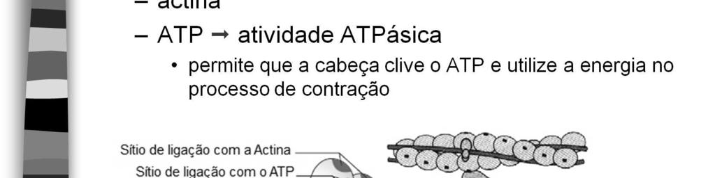 Animação: http://apbrwww5.apsu.