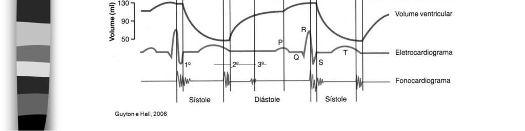 A quarta curva representa as variações do volume ventricular esquerdo; a