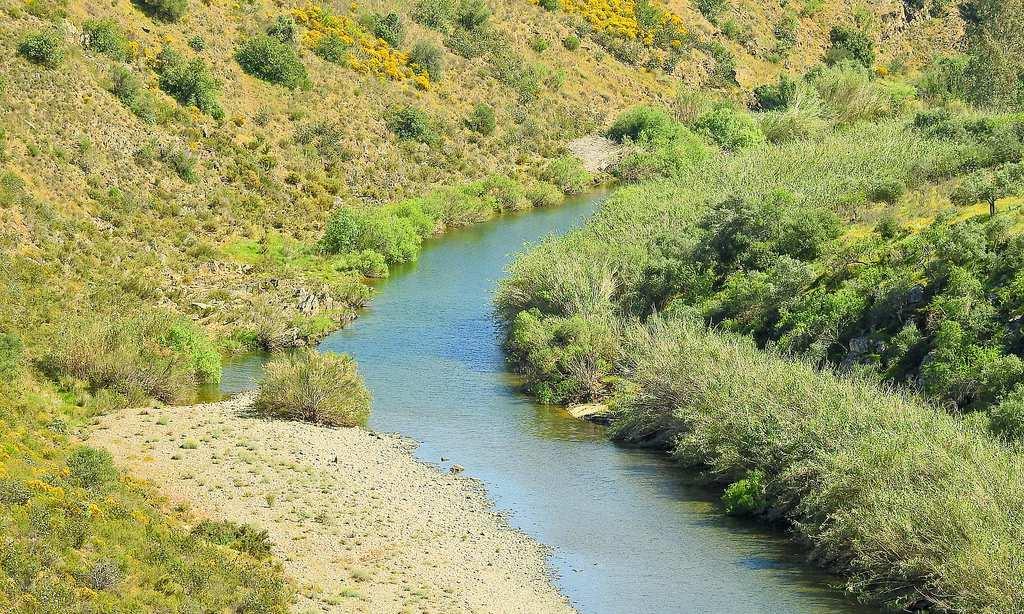 Preservação da Paisagem e da biodiversidade (Ilhas