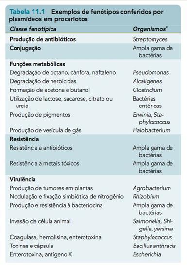 Importância biológica dos plasmídeos Carreiam genes que exercem profunda