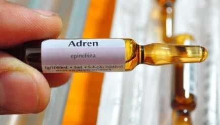 Adrenalina / Epinefrina A epinefrina é um medicamento