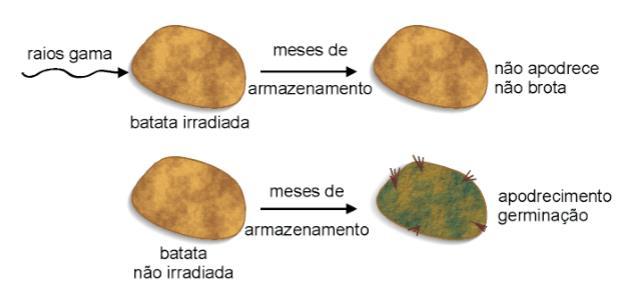 Aplicações em