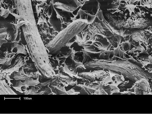 A B C D Fig. 3. Micrografias dos Compósitos: (A) PE/B, (B) PE/B, (C) PE/Bac, e (D) PE/Bac.