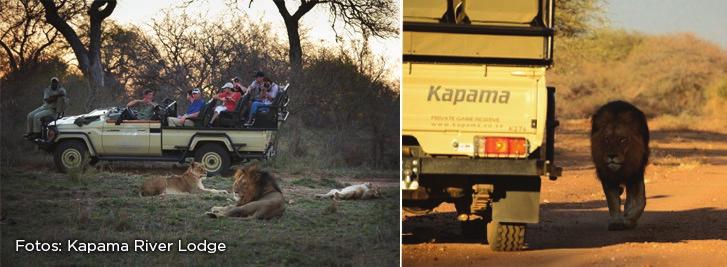 Traslado ao aeroporto de Hoedspruit para embarque em voo com destino à Cidade do Cabo.