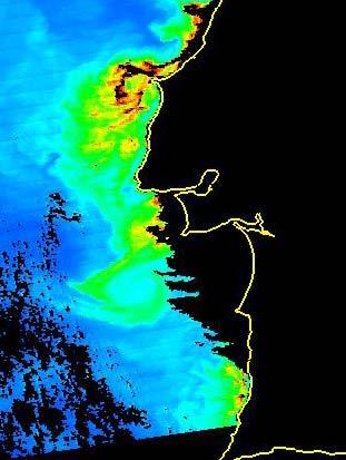 Imagem de satélite (ESA) com concentrações de clorofila à superfície no dia 12 de Maio de 2004 Imagem de satélite (ESA) com concentrações de clorofila à superfície no dia 18 de Maio de 2004 Figura 1: