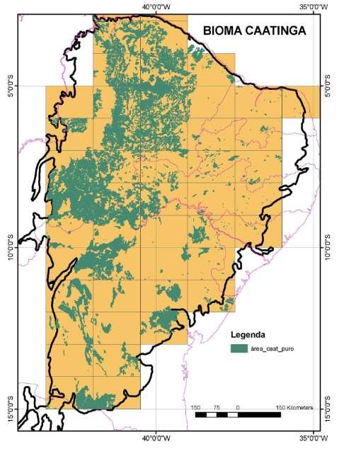 Distribuição de remanescentes de Bioma Caatinga 175 mil km2 21,16 % Levantamento