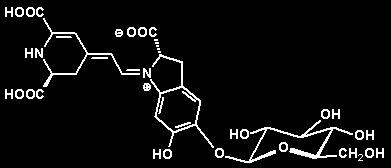 Betalaínas: derivados heterocíclicos com nitrogênio