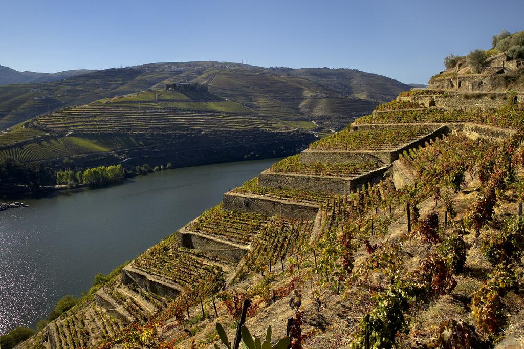 Inspirada na verdadeira essência do Douro, onde se produz um dos mais importantes tesouros naturais do mundo, chega uma nova linha de produtos de cosmética seletiva portuguesa.