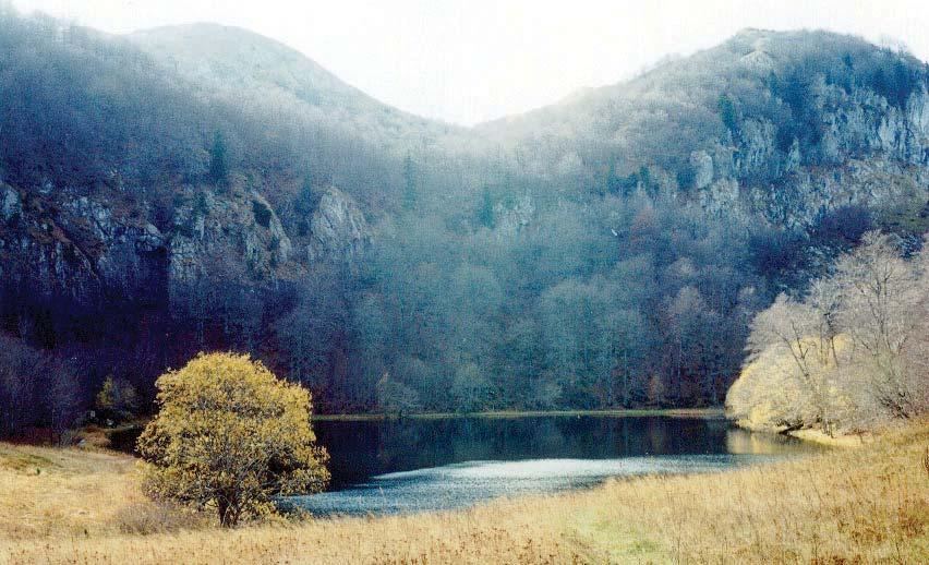 Zatvaraju ga sa istoka Pivska planina i rijeka Piva do Šćepan polja, a dalje tok Drine do ušća rijeke Sutjeske; zapadno je masiv planine Zelengore (2014 m), povezan sa Lelijom, a jugoistočno planine: