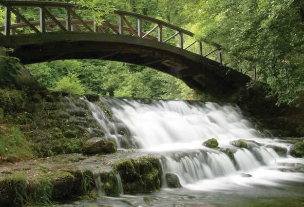 ZAŠTITA PRIRODNE BAŠTINE VRELO BOSNE, SPOMENIK PRIRODE S ciljem očuvanja izrazito vrijednog prirodnog bogatstva, zaštite hidroloških resursa, sprečavanja daljnje degradacije područja Vrela Bosne, te