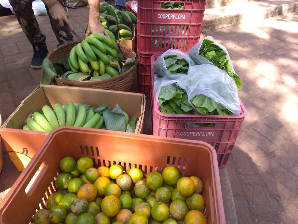 frutas e legumes) e outro denominado especial, não incluído no preço da cesta, geralmente uma PANC ou um excedente da produção.