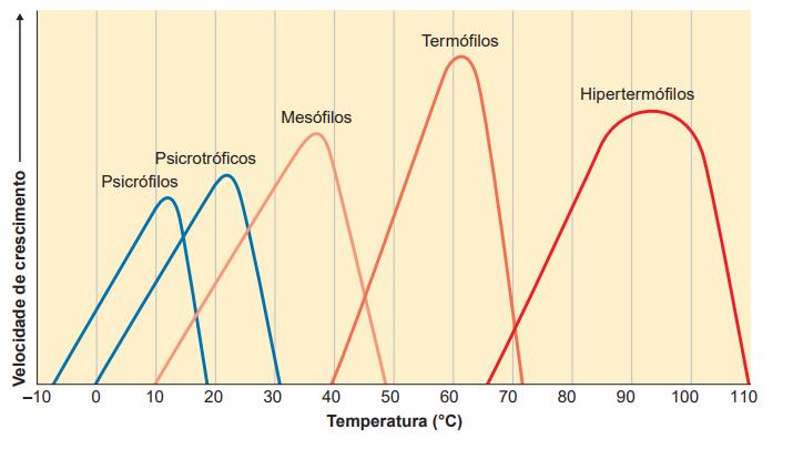Hipertermófilos ou termófilos extremos crescem